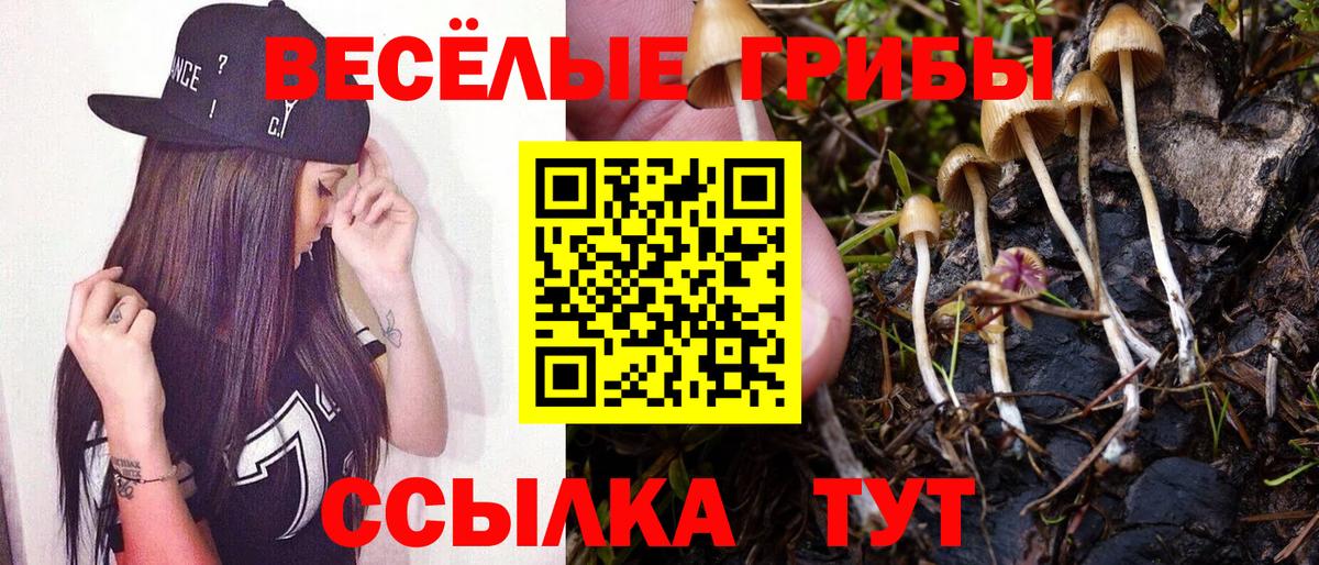 Касимов  Псилоцибиновые грибы мухоморы  Вход с VPN 
